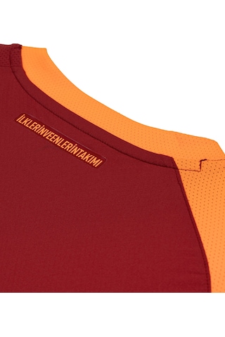 Gsstore Galatasaray Puma 2025/2026 İç Saha Parçalı Profesyonel Forma 78062601 Sarı - Kırmızı