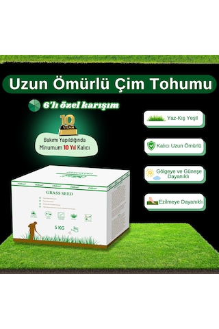 Ebitkisel Çok Yıllık Çim Tohumu 5 Kg Uzun Ömürlü 6'lı Karışım