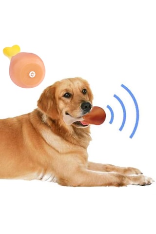 Köpekler İçin Oyuncak Tavuk Budu 5639