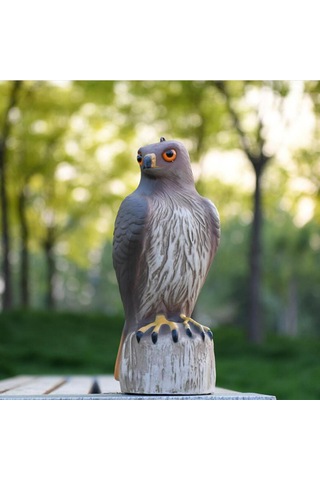 Homyl Kartal Heykeli Plastik Raf Kitaplık Masaüstü Heykelcik Orta