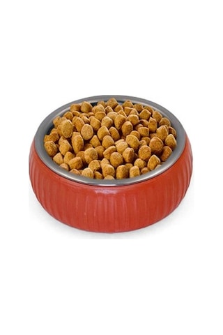 Mikopet Organik Seramik Mama Kabı Kiremit