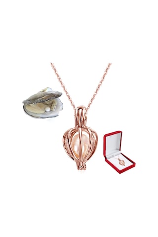 Saatcaddesi Istiridye Içi Gerçek Inci Kolye Kadife Istiridye Kutulu