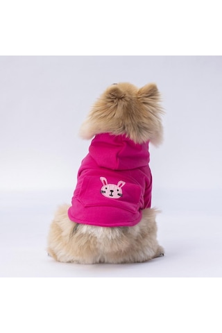Pettrend Tavşan Kanguru Cepli Kedi-Köpek Hoodie Sweatshirt