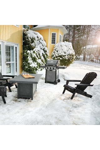 Napoleon Freestyle 365 Gazlı Mangal Gri