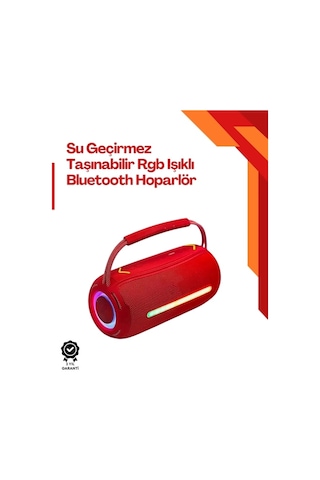 Ipx6 Suya Dayanıklı Açık Hava Hoparlörü