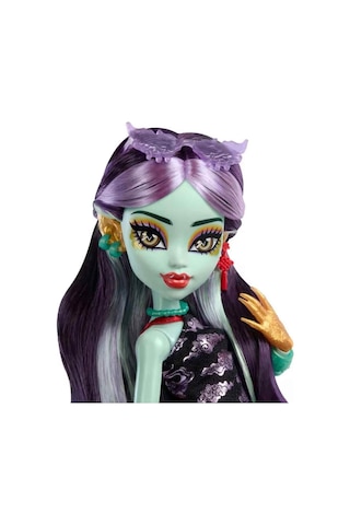 Monster High Acayip Havalı Arkadaşlar Jinafire Long Hyv58