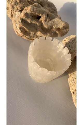 Parlak Sedefli Beyaz Renkli Tırtıklı Sukulent Epoksi Saksı