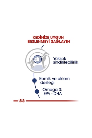 Royal Canin Maxi Adult Büyük Irk Yetişkin Köpekler İçin Parça Etli Konserve Mama 140 Gr