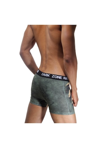 Darkzone Rastalı Aslan Desenli 3D Erkek Boxer - Dzn1081