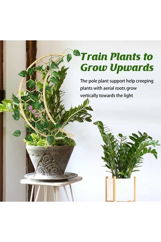 Ulzyvf Bitki Çerçevesi - Tırmanma & Sarkma İçin Ahşap 30cm Bahçe Destek