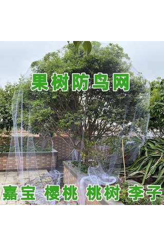 Vkemall Beyaz Nilon Kuş Engelleme Ağı - Meyve Ağacı, Bahçe, Havuz Ve Çiftlik İçin Korumalı Gölge Ağı