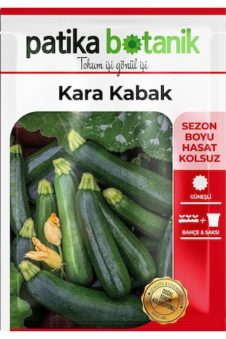 25 Adet Yerli Ata Siyah Kabak Tohumu Kolsuz Kara Kabak
