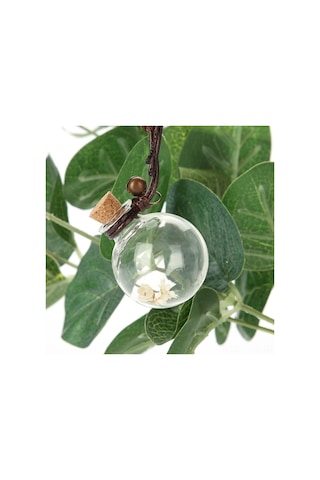 Springsun Araba, Ev Ve Tekne İçin Asılabilir Cam Kavanozlu Koku Flakonları - Kendi Parfümünü Ekleyebilir, Kuru Çiçekli Dekoratif Aromalı Aksesuarlar 2.8