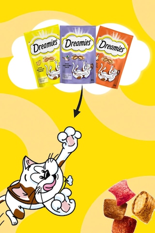 Dreamies Somonlu Mega Paket Yetişkin Kedi Ödül Maması 4 x 180 G