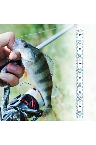 Homyl Balık Ölçme Aracı 51.18 '' Tekne Yelkenliler Beyaz-b