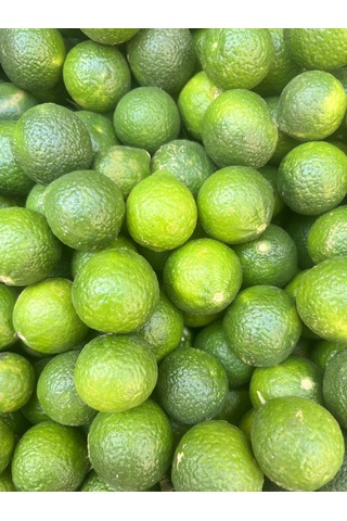 Lokmacı Ana Yeşil Bodrum Mandalinası Satsuma 1 KG