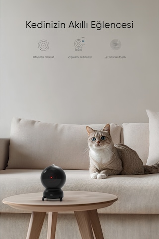 Şımart Akıllı Kedi Oyuncağı