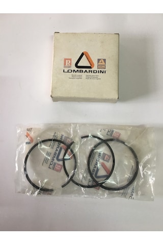 LOMBARDİNİ / İTALYAN SEGMAN (SEKMAN) +0.50MM TAKIMI KOMPLE