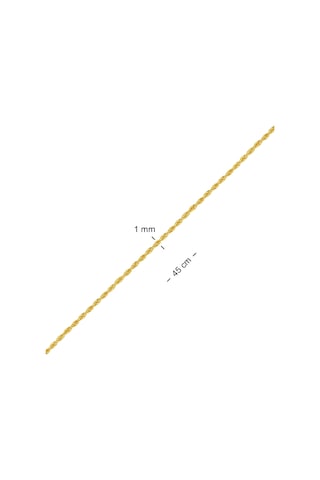Altın Ince Burgu Zincir 45 Cm As25Zcr Altınsepeti