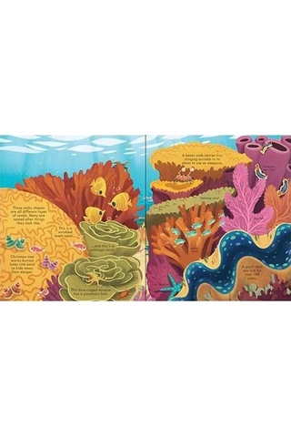 The Usborne Look Inside Seas And Oceans 5+ Yaş