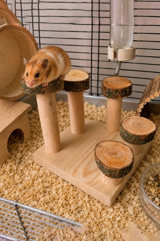 Doğal Kemirgen Merdiveni Ve Tırmanma Standı - Hamster Oyun Kulesi