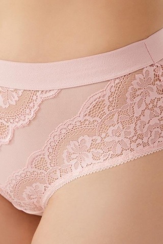 Cottonhill Dantelli Arkası Transparan Büyük Beden Bikini Külot 3'lü Paket Çok Renkli 2