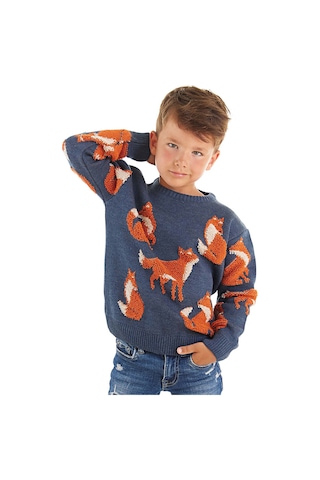 Denokids Mshb&g Tilki Erkek Çocuk Lacivert Triko Kazak Çok Renkli