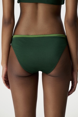 Penti Koyu Yeşil Lola Slip Bikini Altı