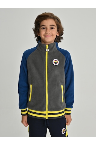 Fenerium Çocuk Trıbun Reglan Kol Detaylı Sweat Grı