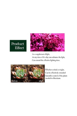 Moly 5m 5050 Smd Bitki Büyüme Işık Şeridi - 60 Led/m - Kırmızı-mavi Ip20 Dc12v Sera/hidroponik Diğer