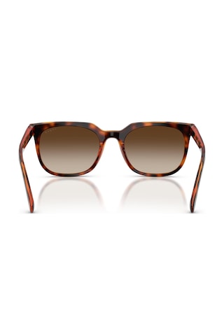Vogue V05715sı W65613 54 Erkek Güneş Gözlüğü Kahverengi