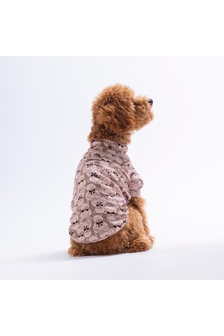 Bearline Ayı Desenli Kedi Köpek Sweati - Kedi Köpek Kıyafeti-kedi Köpek Sweati
