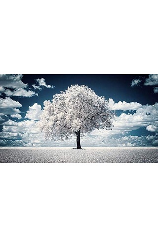 T&y Foto Tianya Ir Infrared Kızılötesi 720nm Filtre 62mm