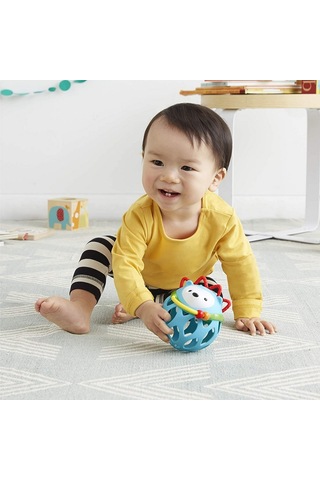 Skip Hop E&M Aktivite Topu Kirpi