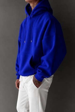 Tarz Cool Regular Kapüşonlu Sweatshirt Erkek Unisex 3 İplik Şardonlu %100 Pamuk Basic Hoodie Mavi