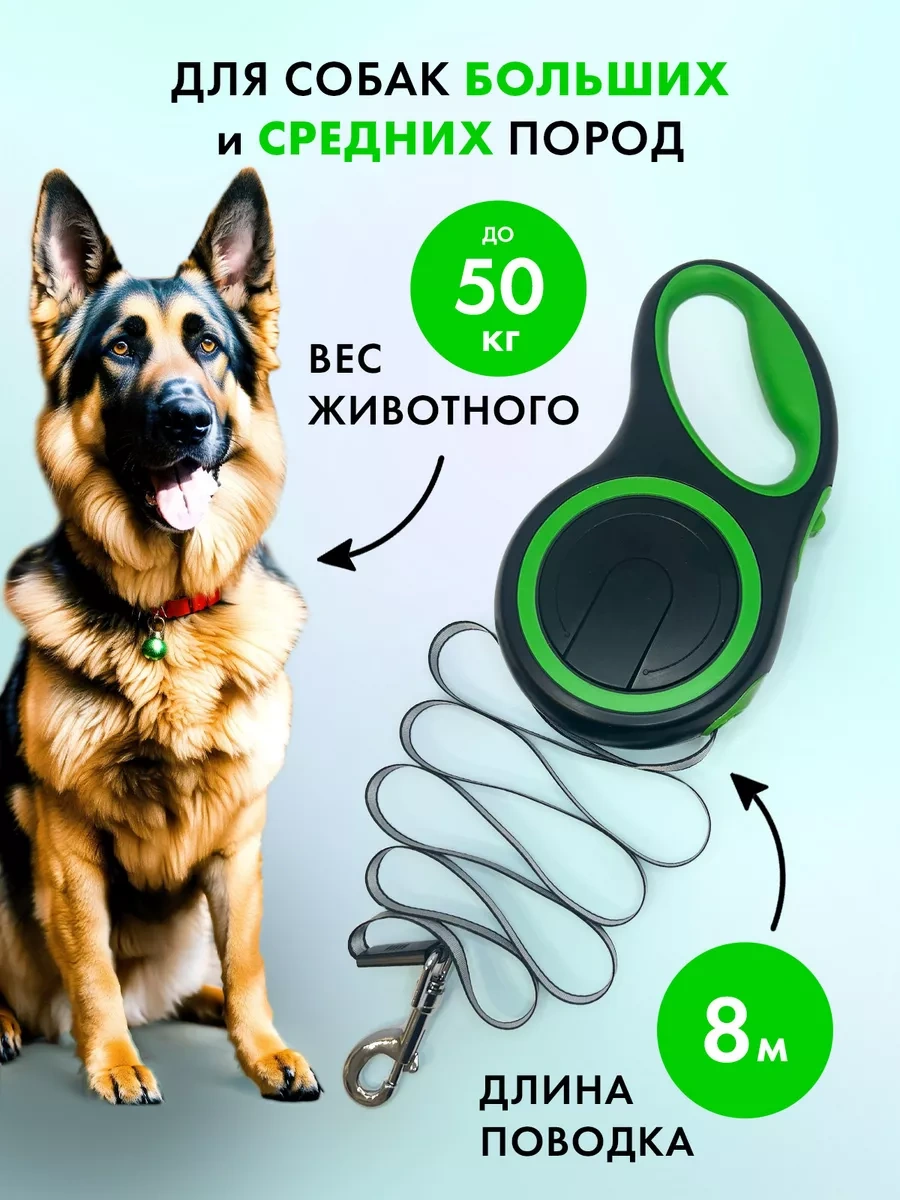 Purrfect Place 8 M Yürüyüş Kayışı 205592078 Yeşil