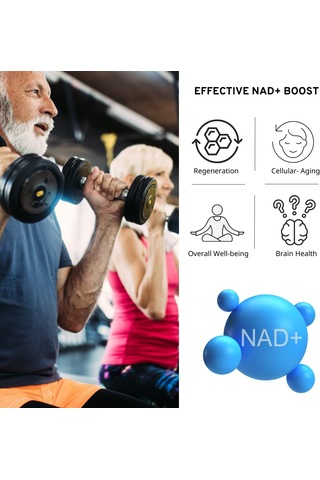 Vınatura Nad Nicotinamide Adenine Dinucleotide 1000mg - Pure Nad For  60 Caps Aromasız
