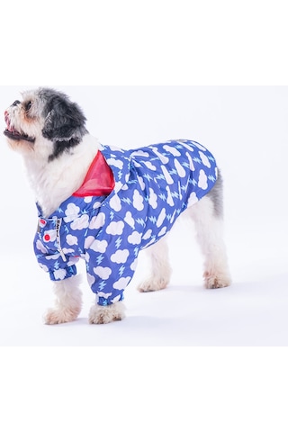 Pawstar Tonitruum Fileli Köpek Montu Köpek Yağmurluk