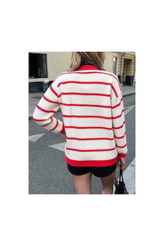Meecy Selanik Örgü Polo Yaka Oversize Zr Model Kadın Triko Kazak Bej & Kırmızı Bej & Kırmızı