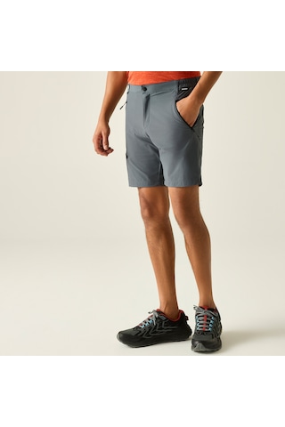Regatta X-ert Stretch Erkek Şort-füme