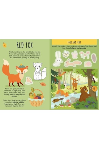 Sassi The Forest - Sticker And Activities