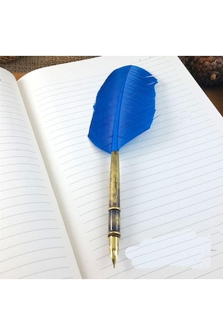 Steel Pen Kuş Tüyü Divit Kalemi Seti