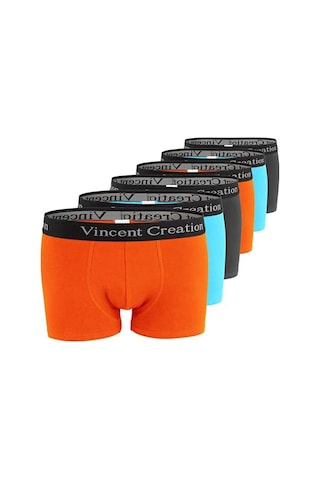 Alexander Gardi Alexandergardı 6'Lı Ekonomik Paket Erkek Boxer Seti Vincentcreation-02 001