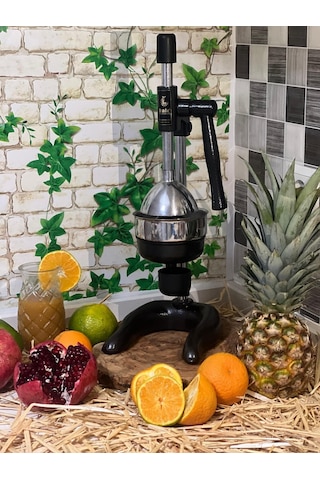 1706 Meyve Presi Industrıal Type Fruıt Press