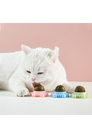 Tineke Catnipli Yenilebilir Kedi Nanesi Otu Yalama Oyun Topu Oyuncağı Yengeç