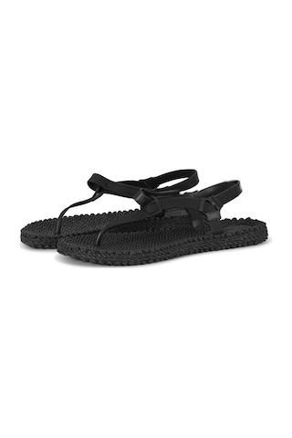 Ilse Jacobsen Black Cheerful14 - Siyah Parmak Arası Terlik-6959 Siyah