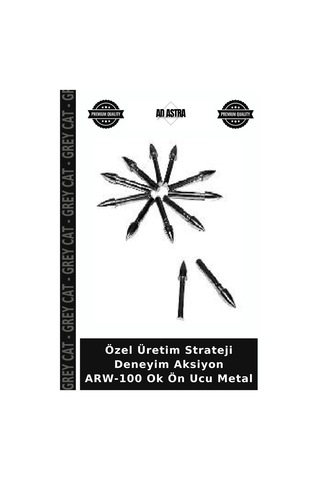 Özel Üretim Strateji Deneyim Aksiyon Arw-100 Ok Ön Ucu Metal