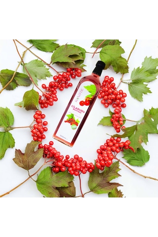 Hanzade Bitkisel Gilaburu Suyu Nektarı Şekersiz 2 x 1 L