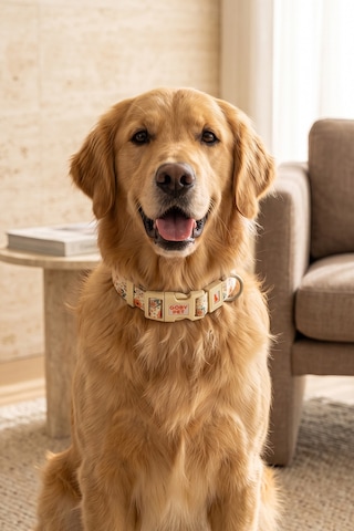 Köpekler İçin Dayanıklı Ve Güvenli, Desenli Boyun Tasması 25mm Krem