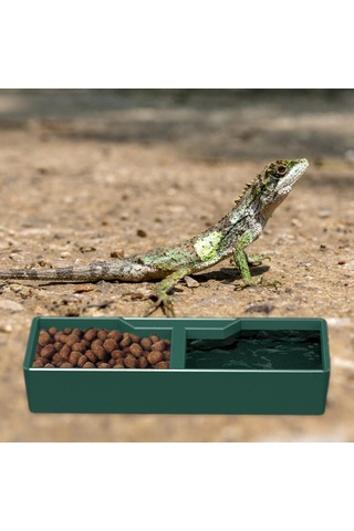 Homyl Besleme Kabı Su Tabağı Amfibi Aksesuarları Çok